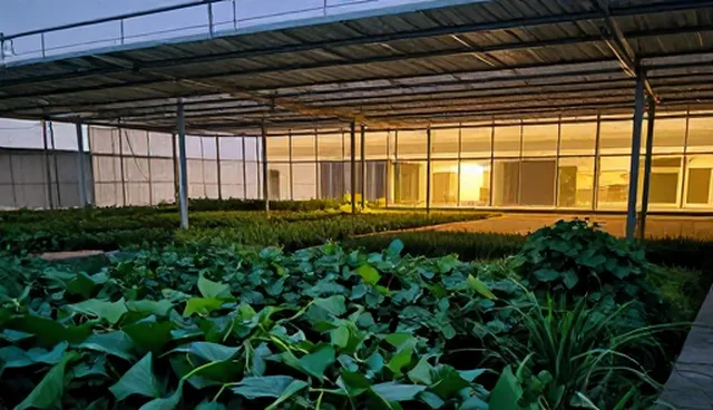 年检代办服务使用场景及选型关注点分析